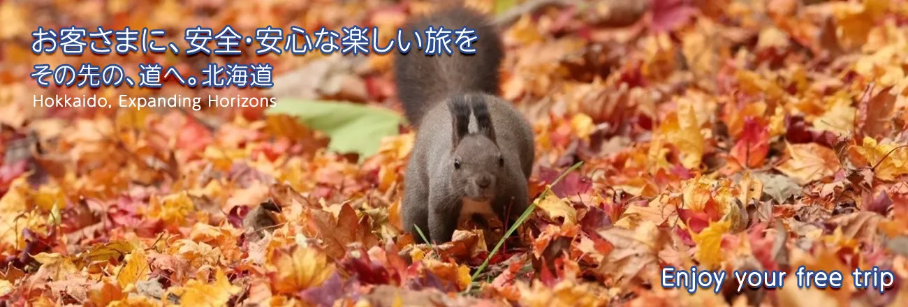 その先の、道へ。北海道 Hokkaido, Expanding Horizons