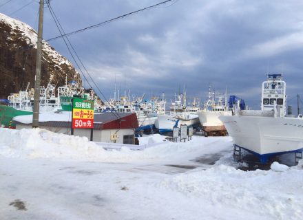 4泊5日コース アーカイブ 北海道 札幌観光ジャンボハイヤー 旅北トラベル